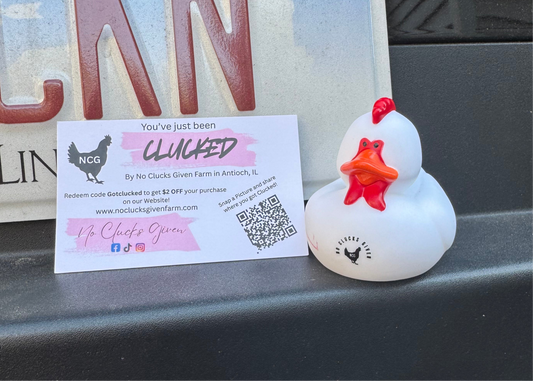 No Clucks Given: Chicken Ducks